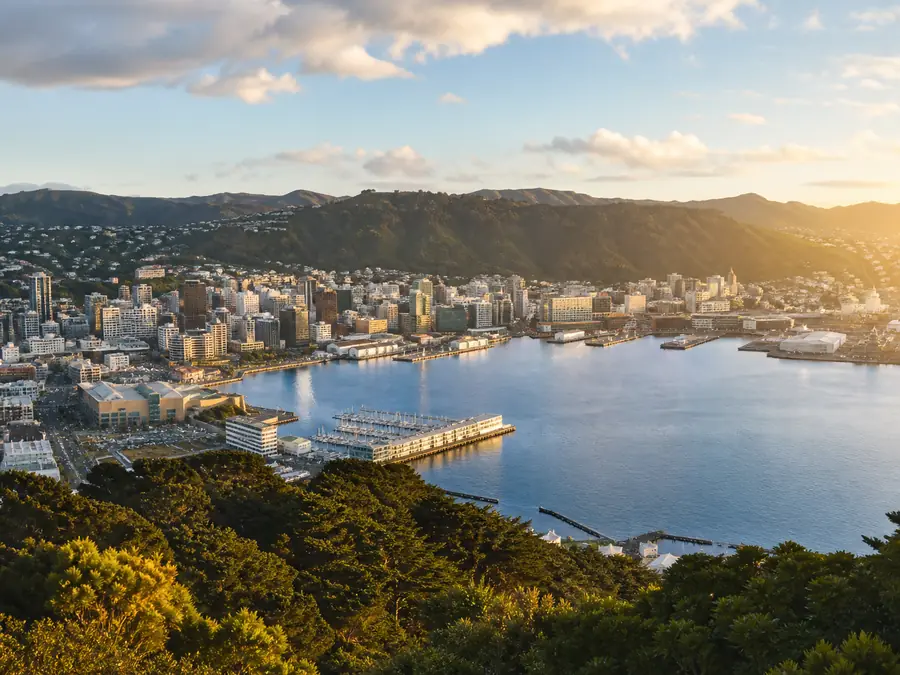 Wellington city and harbour